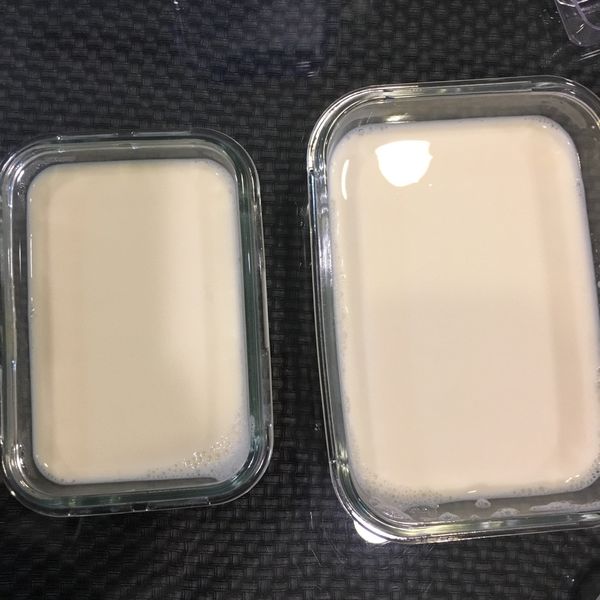 鮮奶酪 : 廖婉利一起做