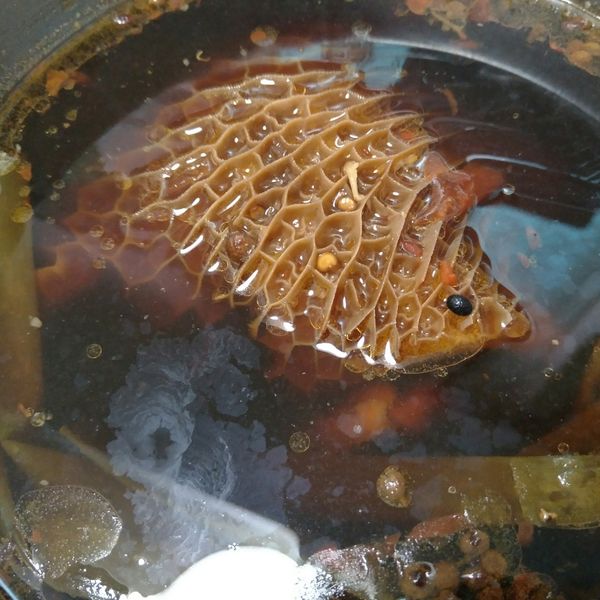 滷牛肚 : Daman Zhang一起做