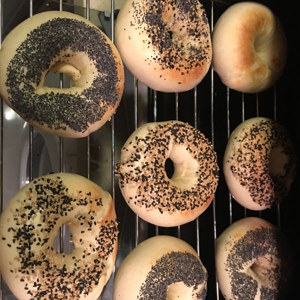 undefined：Kaccy Yuen 一起做