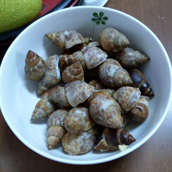 undefined：林粉圓 一起做