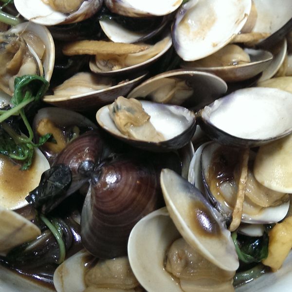 塔香海瓜子：Stitch Tracy 一起做