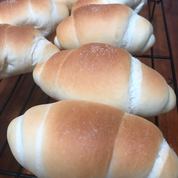 undefined：Shu Shu Liao 一起做