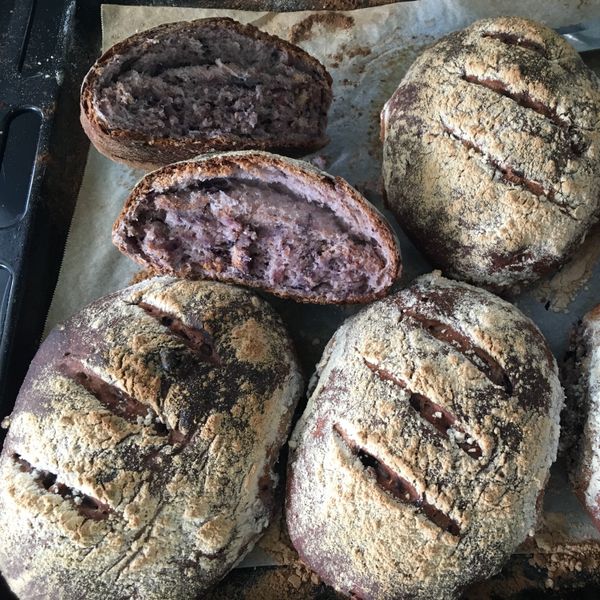 藍莓鄉村麵包 : Yuyuan-5樓廚房一起做