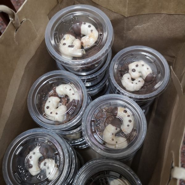 【萬聖節、愚人節】甲蟲幼蟲 巧克力餅乾 : 雅寶一起做