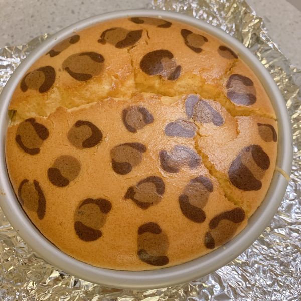 豹紋蜂蜜棉花蛋糕，潮翻啦! : Sonia Tan一起做