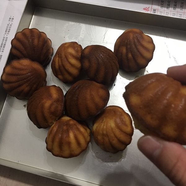 原味瑪德蓮：萓兒 一起做