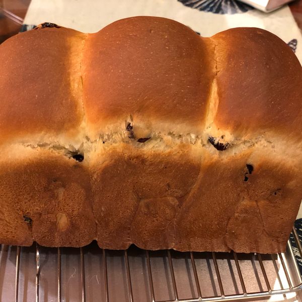 雞蛋鮮奶山形吐司(中種法) : nina一起做