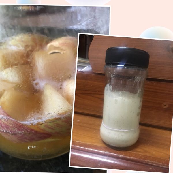 自製蘋果天然酵母種 : ting一起做