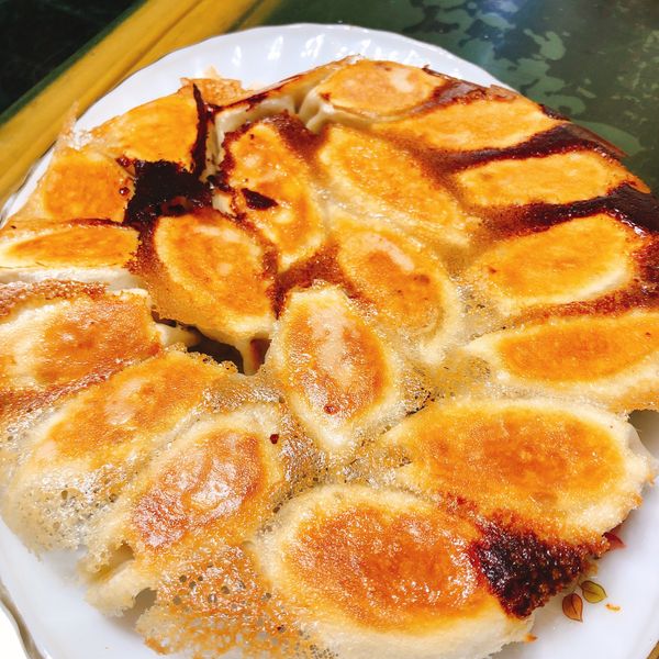 日式煎餃 : ili一起做