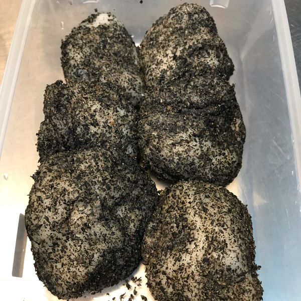 undefined：Vita Wu 一起做