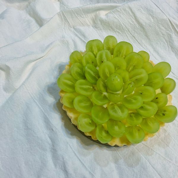 undefined：Ellie 一起做