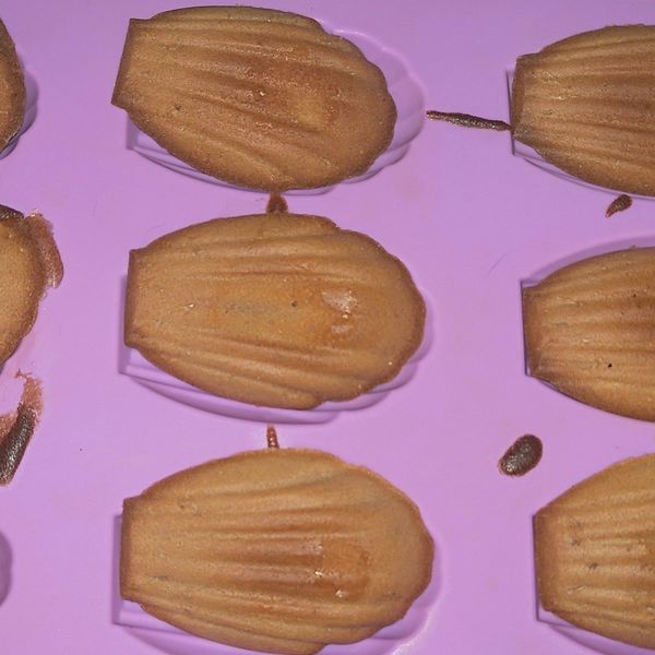 法芙娜可可杏仁瑪德蓮貝殼蛋糕 : Eva Wang一起做