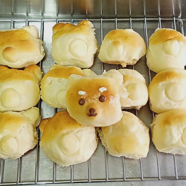 柴犬麵包：張小杏 一起做