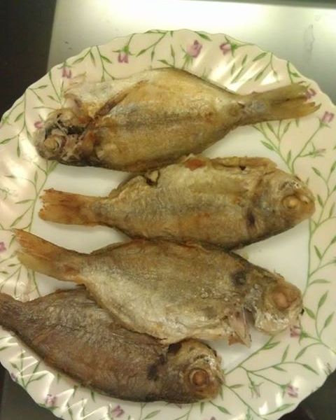 undefined：Joyce Liu 一起做