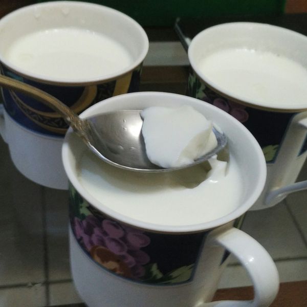 零失敗！鮮奶酪 : 曾俊清一起做