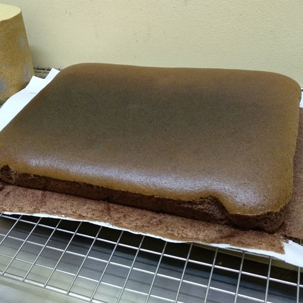 法芙娜可可枕頭蛋糕（燙麵戚風、水浴法） : 趙玉真一起做