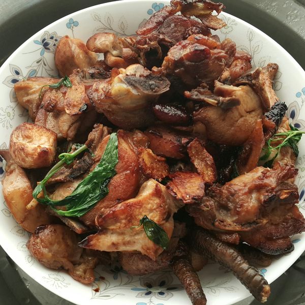 【DUDU】苦茶油雞 : zola一起做