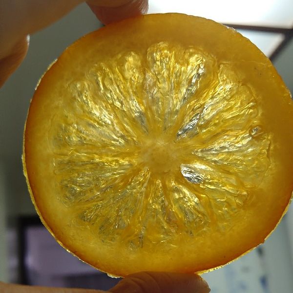 undefined：飛天小魔女 一起做