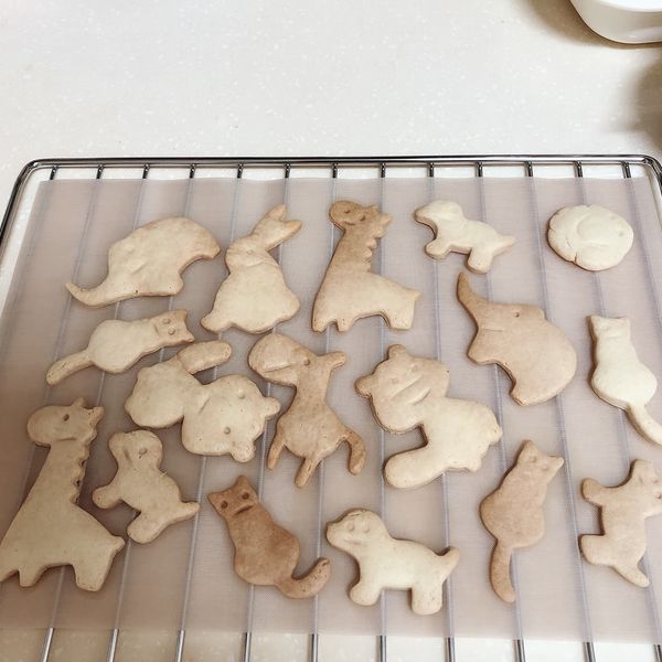 undefined：Allisa  一起做