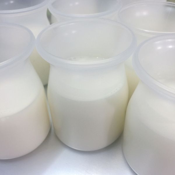 《甜點簡單做》鮮奶酪 : Jessy Chen一起做