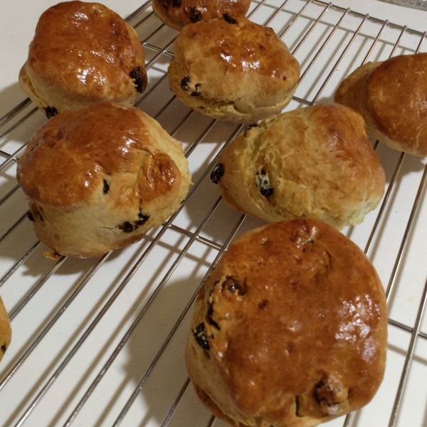 超蓬鬆司康的秘密配方~健康減油優格口味:姜艾伶 一起做