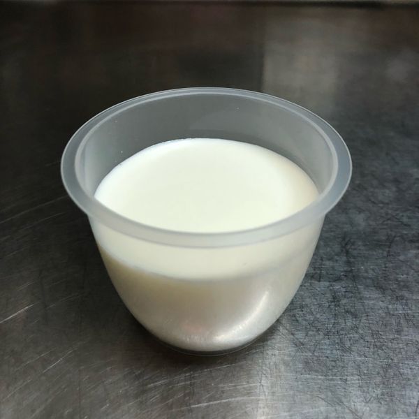 原味鮮奶酪：靜慧 一起做