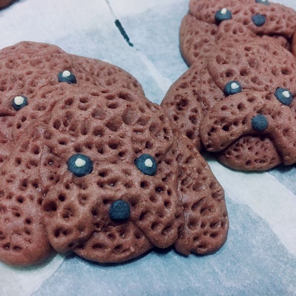 貴賓狗咖啡餅乾 : 謝佳軒一起做