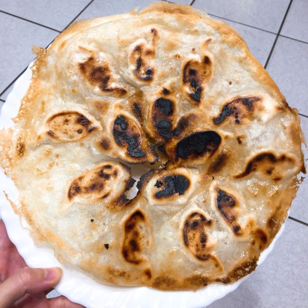 水餃的華麗變身-冰花煎餃 : b880630一起做