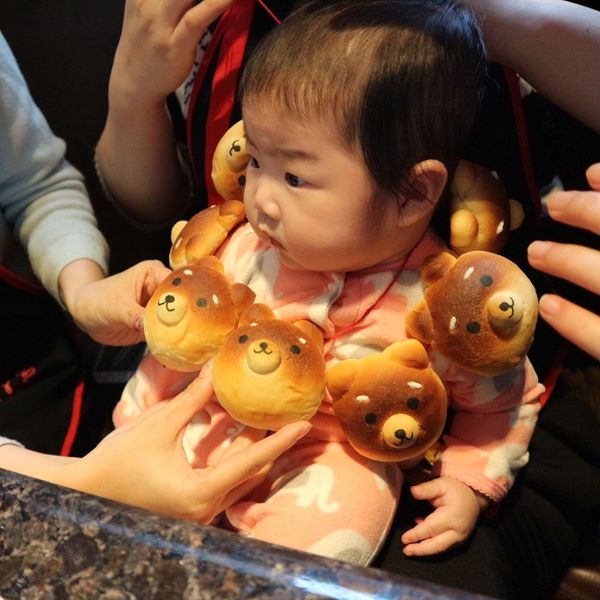 柴犬麵包：璐小咩 一起做