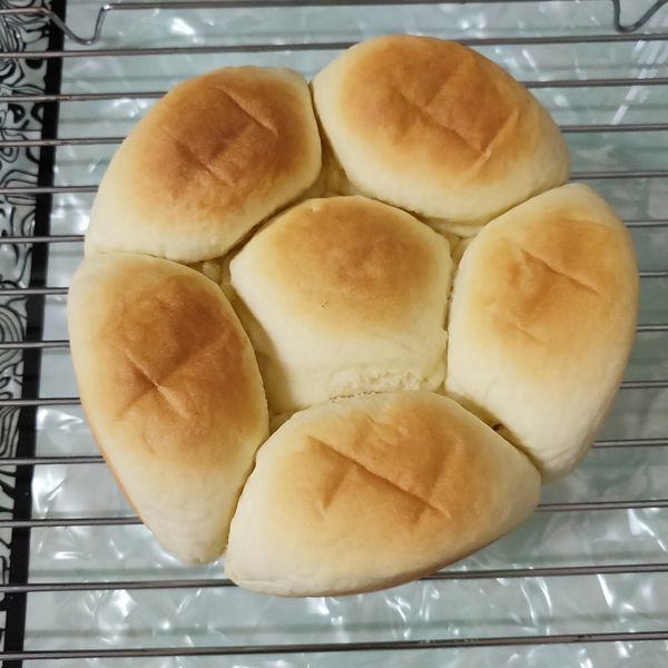 超鬆軟好吃的牛奶麵包:潘芓岑 一起做