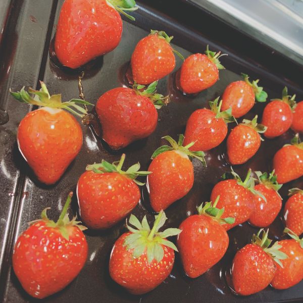 undefined：芯澄証的廚房 一起做