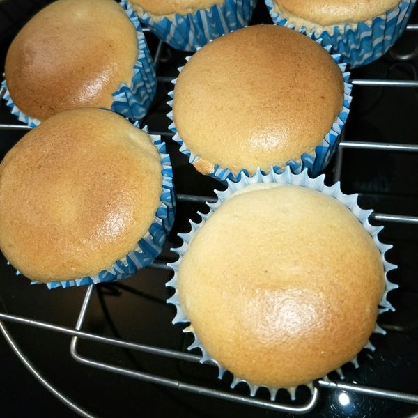 優格杯子蛋糕 不裂不回縮要點歸納 : 小咪一起做