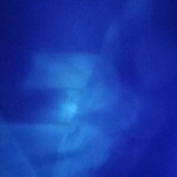 鮮蔥蝦餅 : 天秤座一起做