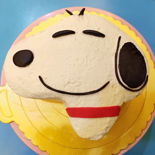 【小貝殼】超容易完美-草莓巧克力蛋糕：Candy Hsueh 一起做