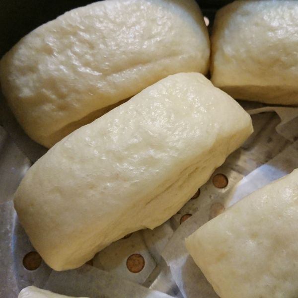 undefined：Yo Yo Cat 一起做