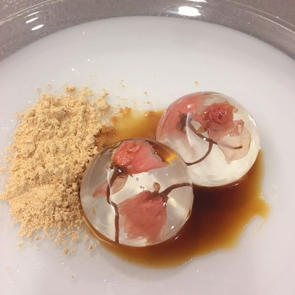 櫻花水信玄餅(吉利Ｔ配方）：Chiu Hsia  Yang 一起做