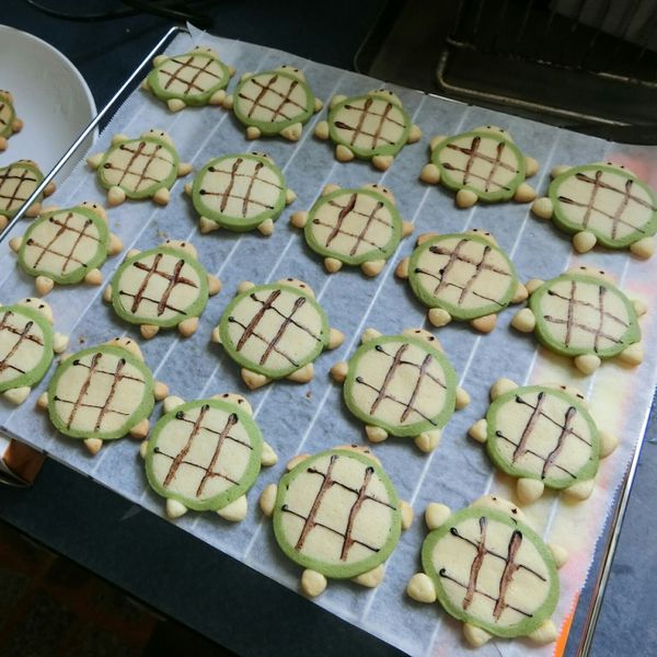 🐢烏龜造型餅乾🐢：郭鈺筠 一起做