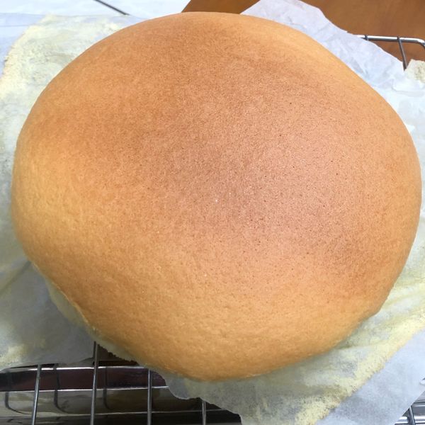 undefined：Einnev 一起做