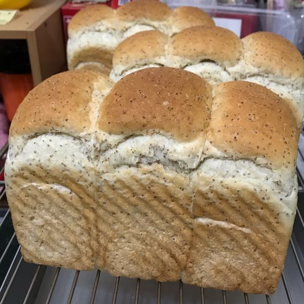 紅藜麥全麥土司 : 凱媽一起做