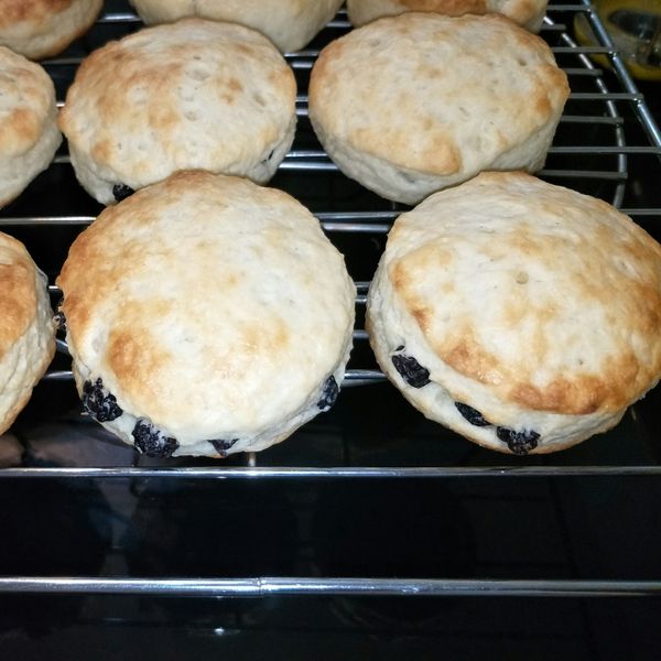 家常比司吉 : 小咪一起做