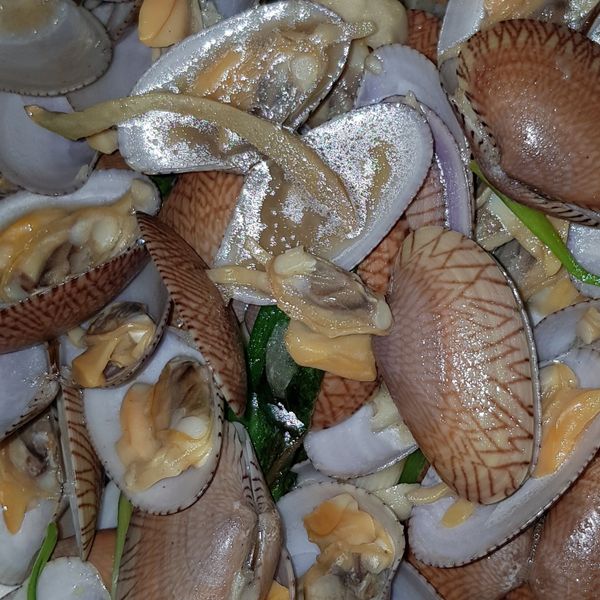 【一鍋隨意煮】熱炒海瓜子：潘 一起做