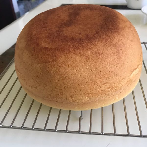 電子鍋蜂蜜蛋糕(一次給妳二種食譜跟口感) : Alison Lin一起做