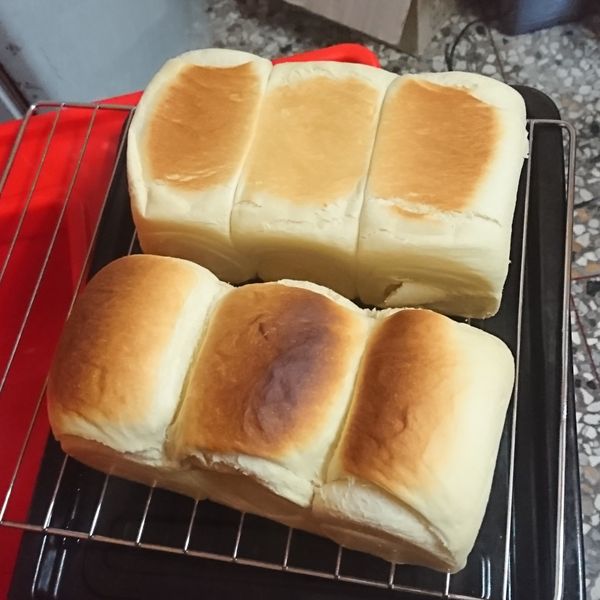 鮮奶小吐司【麥典實作工坊麵包專用粉】 : 連沛瀅一起做