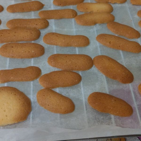 法式貓舌頭餅乾, Easy : 楊情宇一起做