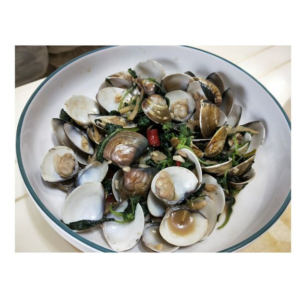 塔香蛤蜊：康丁 一起做