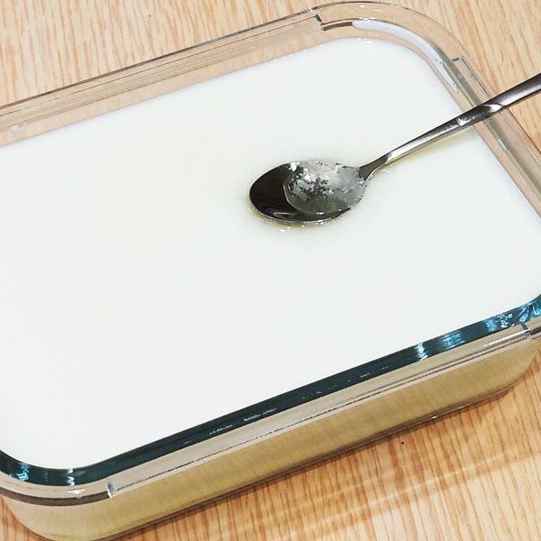 自製優格(免菌粉電鍋版) : Jasmme Chiu一起做