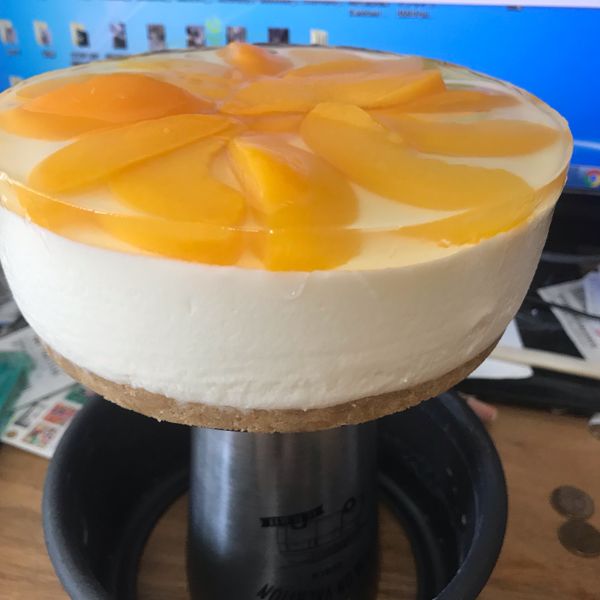 undefined:Lazy Tiger 一起做