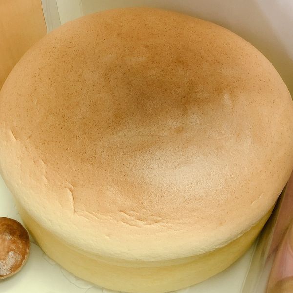 起司片棉花蛋糕 8吋無奶油、燙麵水浴烘烤 : Nico Zheng一起做