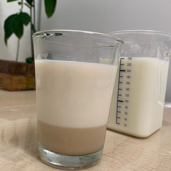 [超簡單]健康黑糖鮮奶酪 : emily一起做