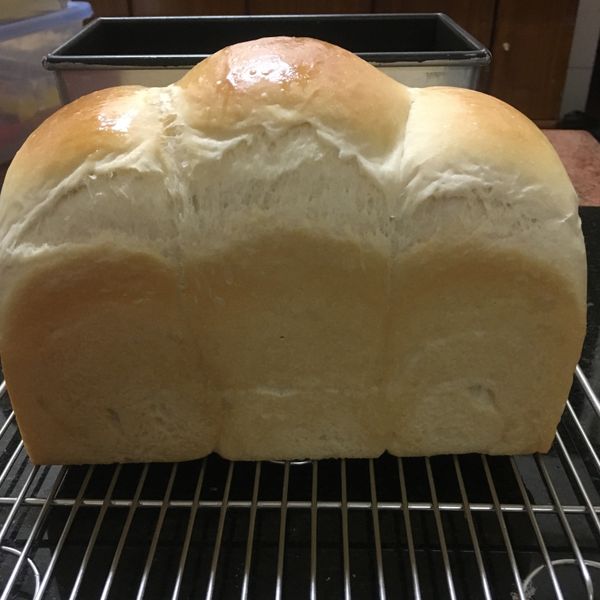 自製蘋果天然酵母種 : ting一起做